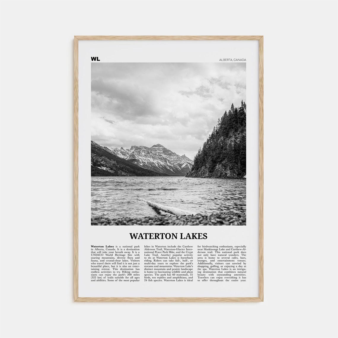 Waterton Lakes National Park, Black And White Art Print