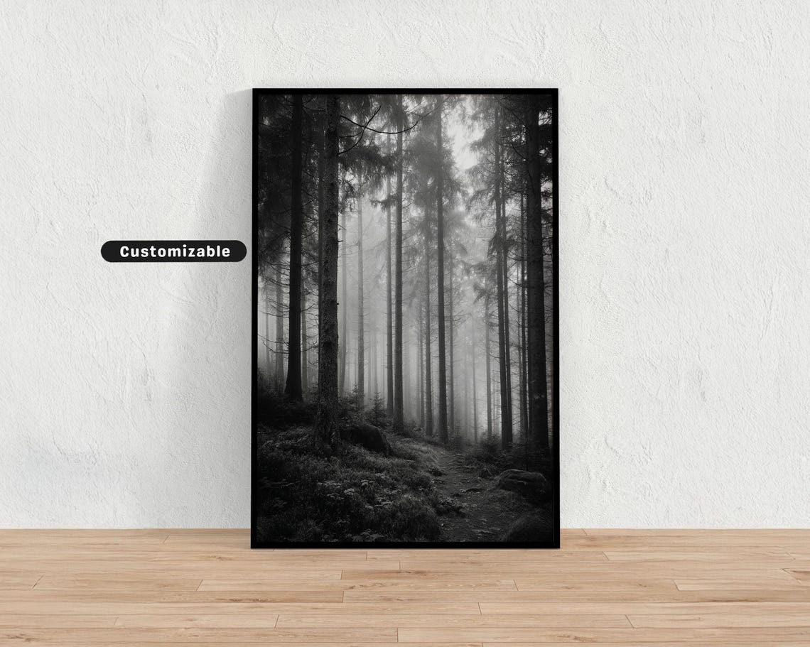 Foggy Monochrome Pine Forest Mist Black White Photography Wall Art