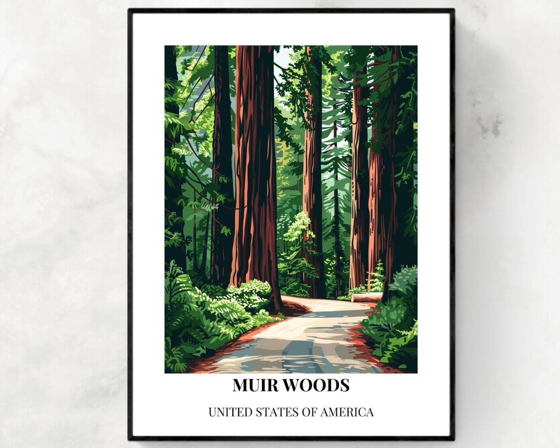 Muir Woods California Redwood Forest Path Sunlight Travel Poster