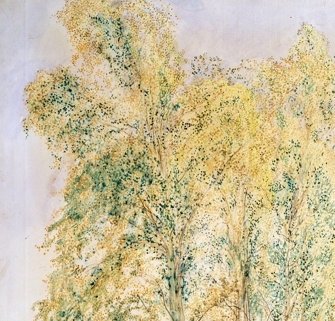 Woman With a Red Scarf Reading Under Tall Birch Trees Art Poster - Image 3