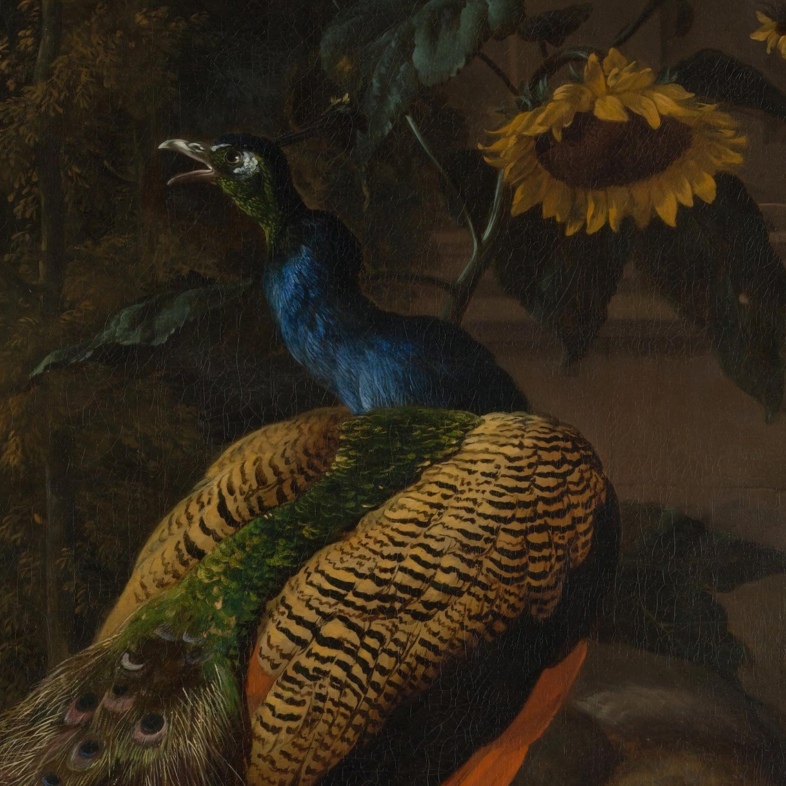 Melchior de Hondecoeter Peacock Bird Paradise Baroque Poster - Image 2