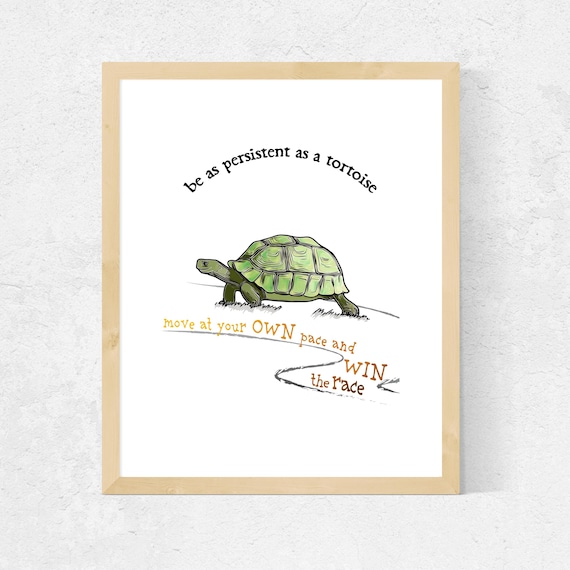 Persistent Tortoise Wins The Race, Animal Series
