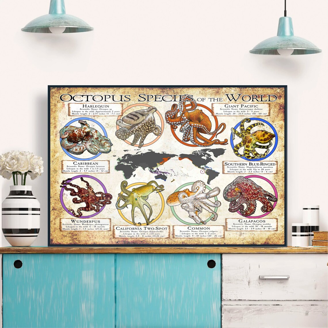 Octopus Species of the World Illustrated Vintage Chart Poster - Image 2