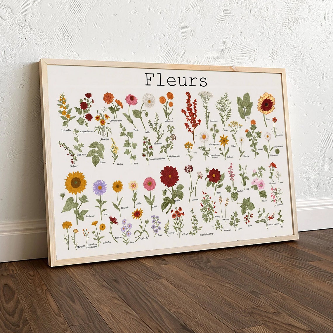 Fleurs Vintage French Botanical Flower Chart Educational Poster