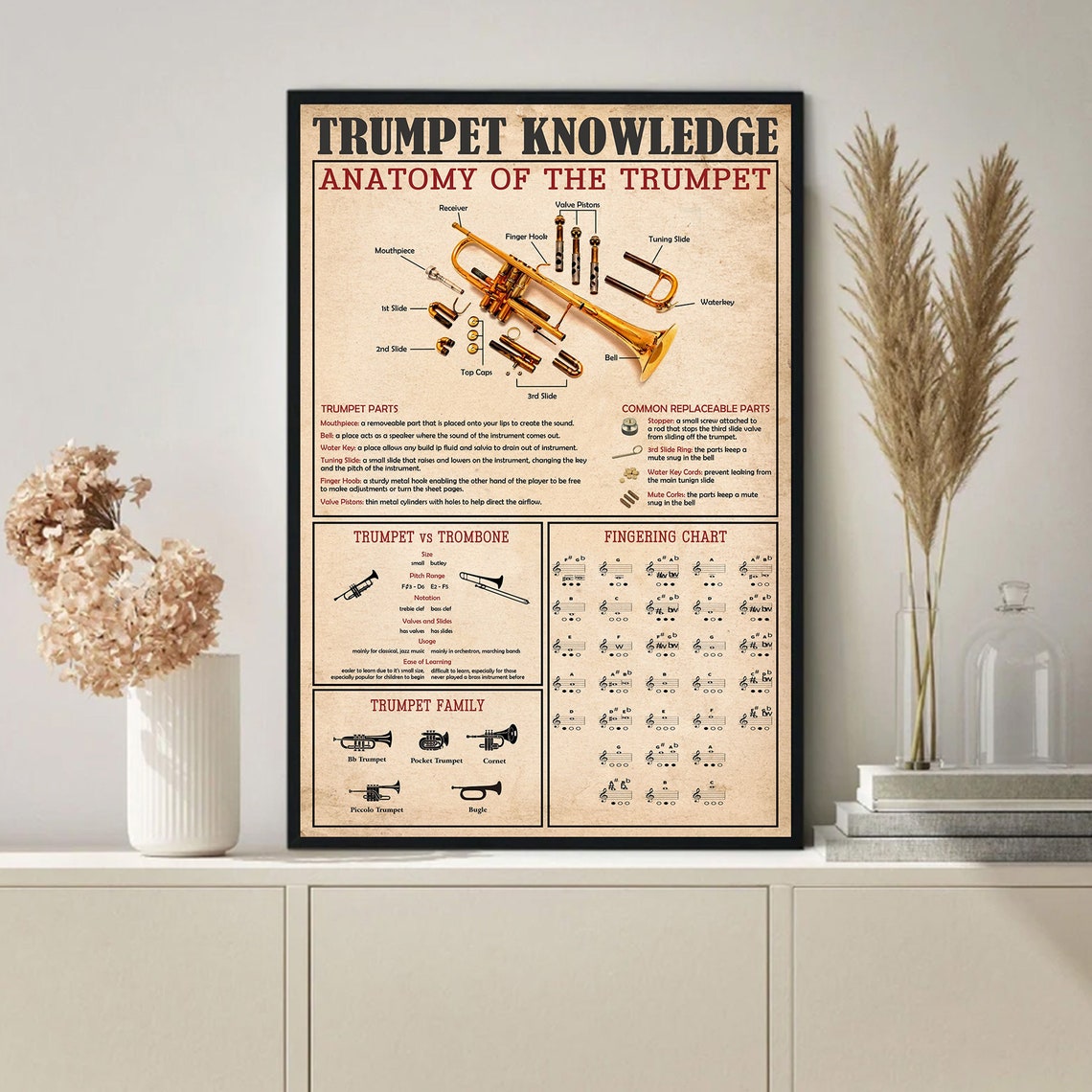 Trumpet Knowledge Anatomy and Fingering Chart Vintage Poster - Image 2