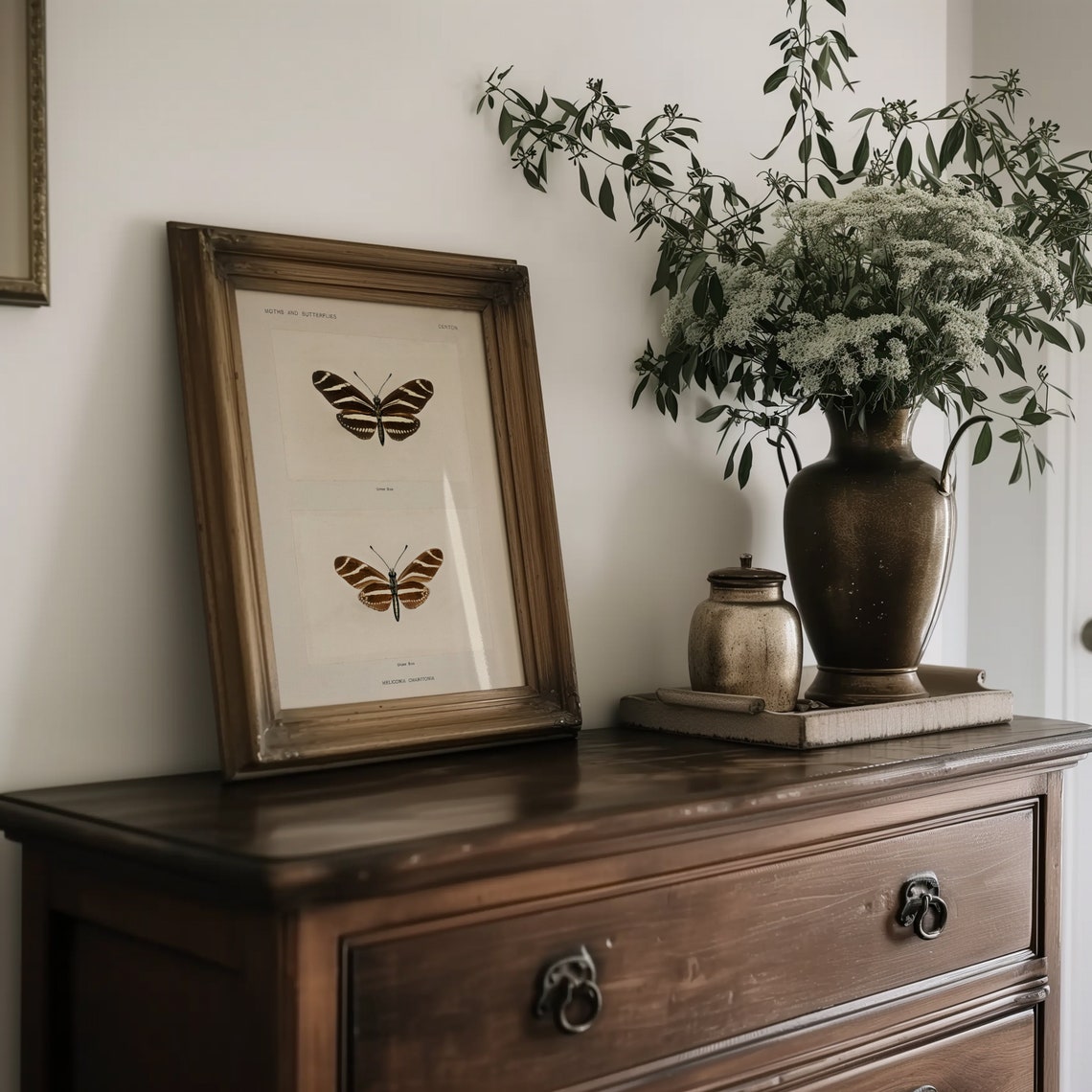 Vintage Zebra Longwing Butterfly Study Natural History Art Print - Image 3
