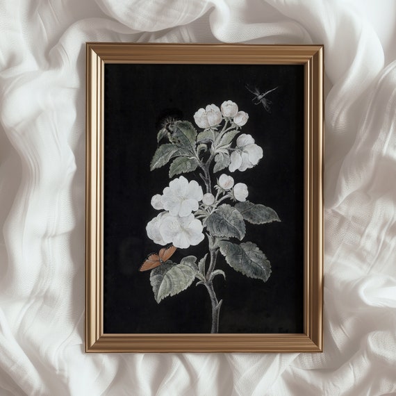 Dark Botanical Wall Art Moody Vintage Home Decor Dark Academia Plant Flower Print 409