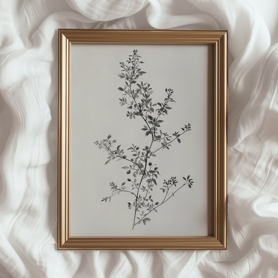 Botanical Illustration Print, Vintage Floral Sketch - Image 4