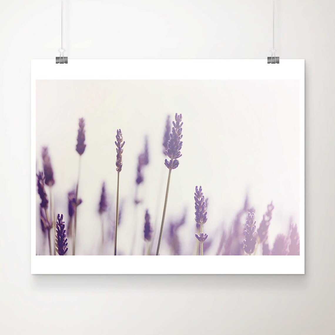 Lavender Field Photograph, Purple Floral Art Print