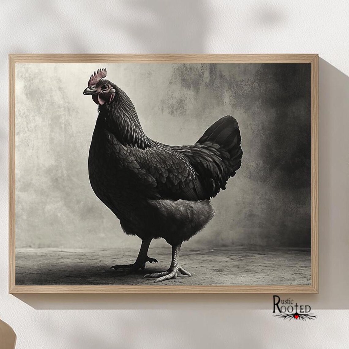 Black Hen Portrait in Classic Black and White Art Style Poster