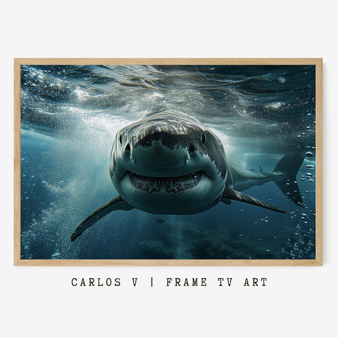 Great White Shark Frame Tv Art Animal Underwater Illustration Art Frame Tv Instant Aquatic Wildlife Display