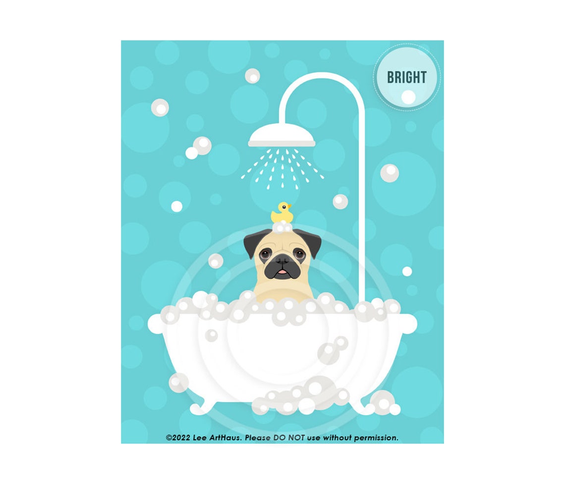 Fawn Pug In Shower Bathtub With Rubber Duck Funny Dog Bath Poster