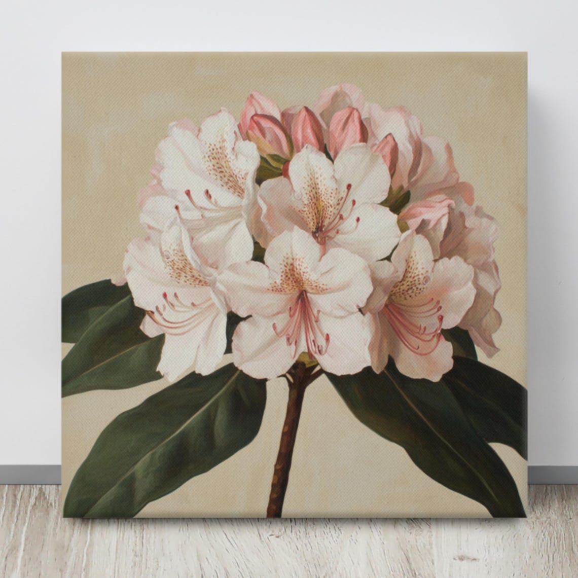 White Pink Rhododendron Truss Vintage Botanical Art Wall Poster - Image 4
