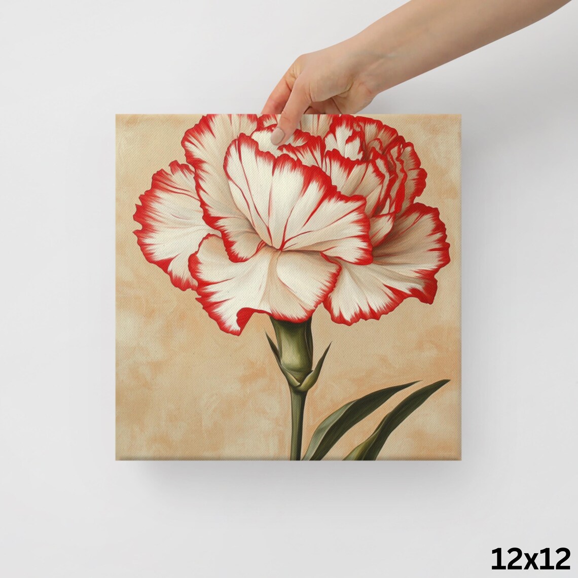 Red White Two-Tone Carnation Vintage Botanical Floral Art Poster - Image 2