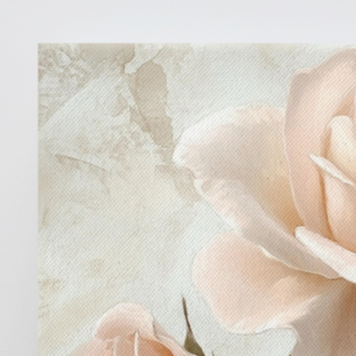Blush Pink Roses Bloom and Bud Vintage Romantic Wall Art Poster - Image 3
