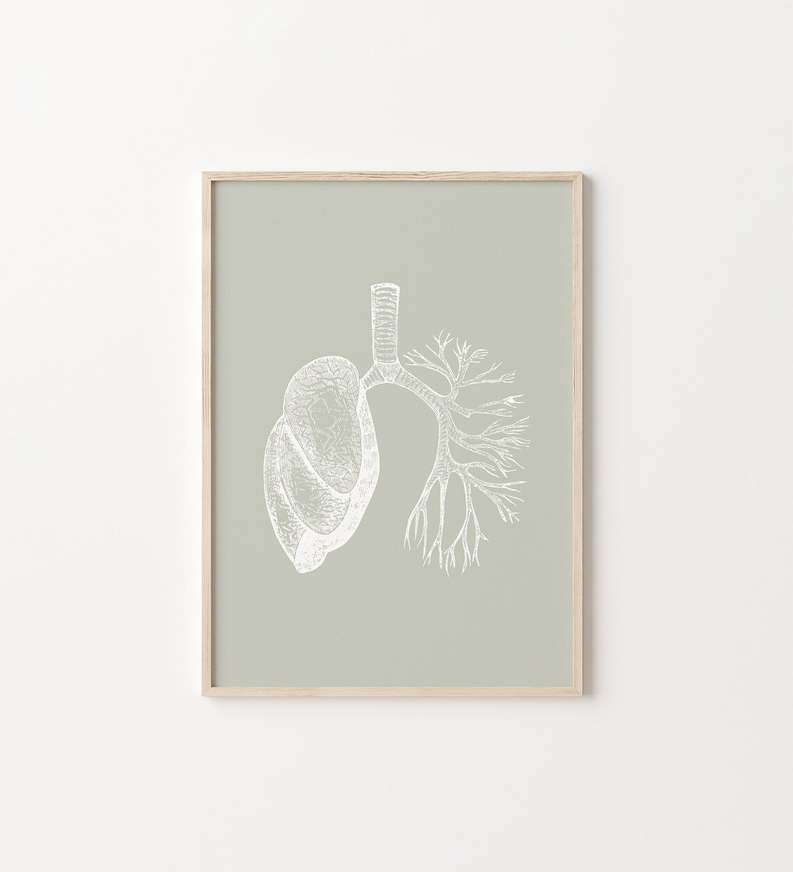 Lungs Anatomical Art Print, Medical Anatomy Poster