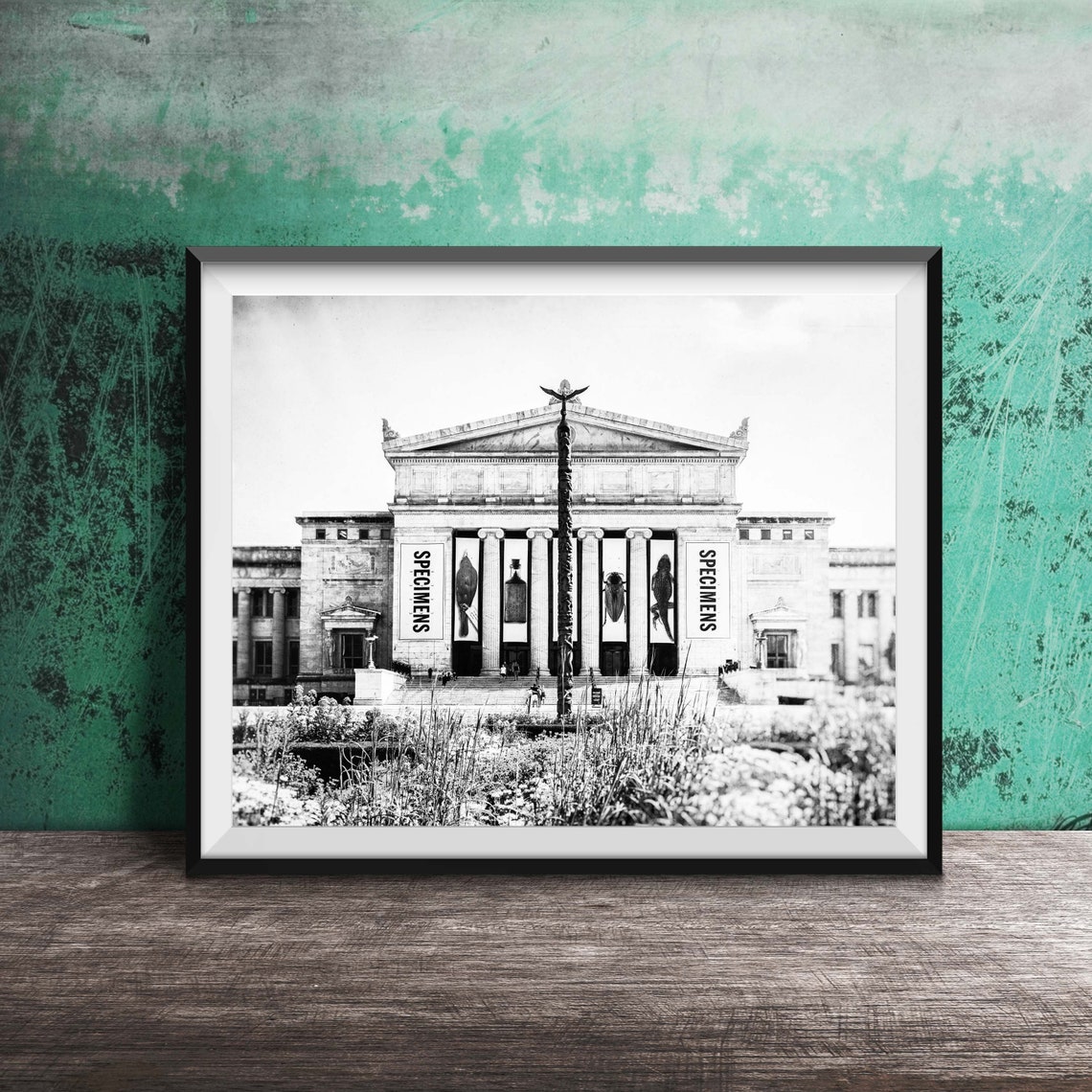 Field Museum Chicago Specimens Banners Facade Garden View Poster - Image 2