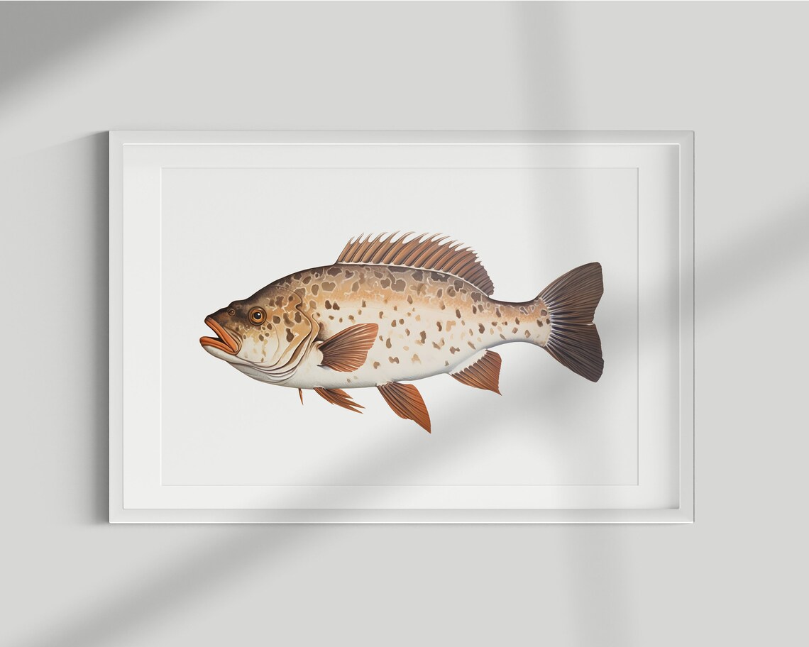 Halibut Vintage Fish Illustration Art Print