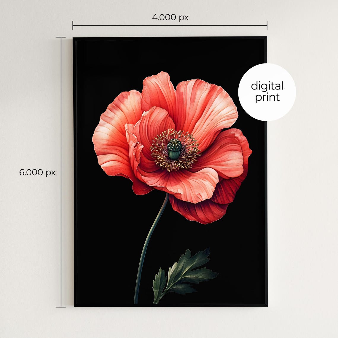 Red Poppy Bloom Close Up Black Background Dramatic Floral Wall Print - Image 2