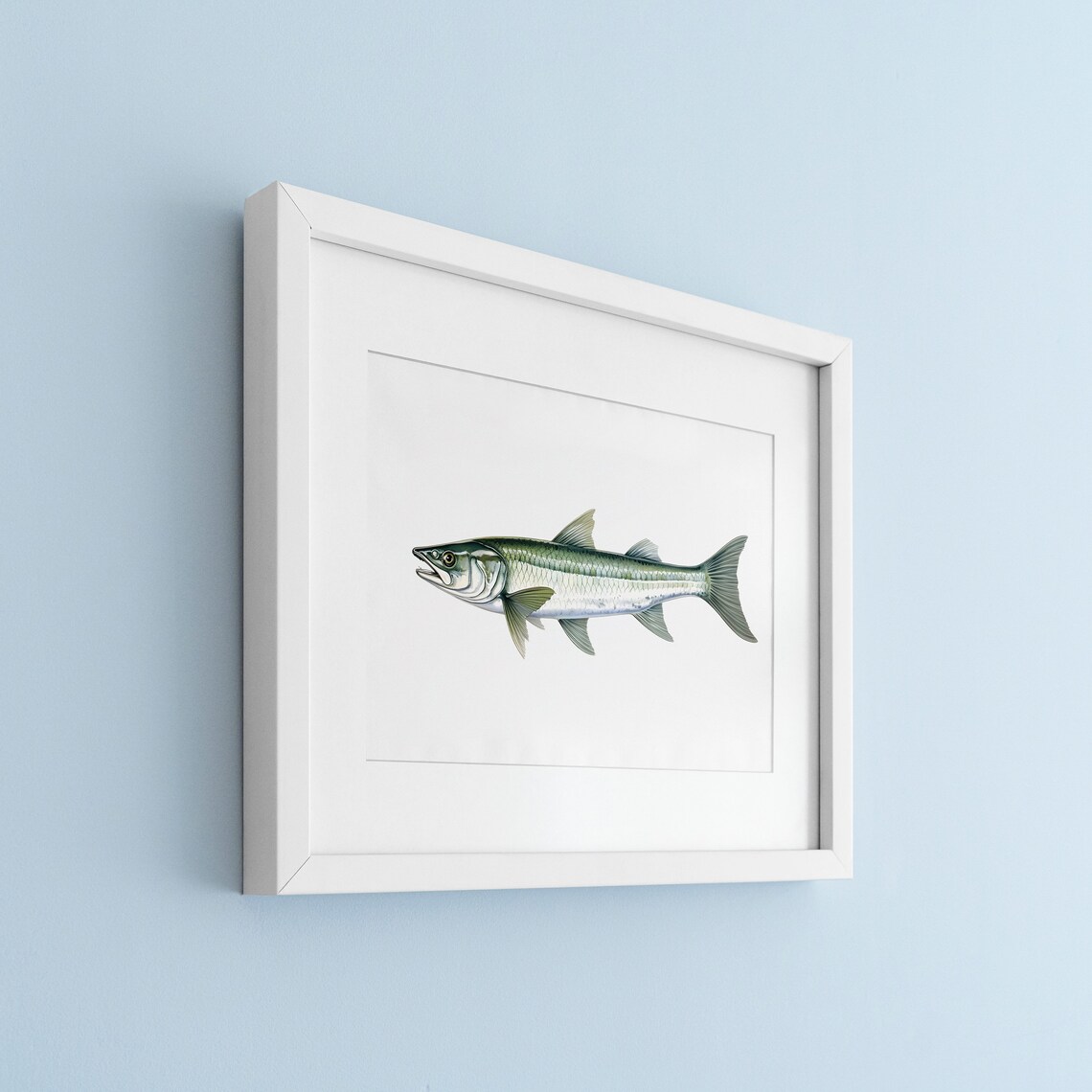 Barracuda Vintage Illustration Art Print - Image 3