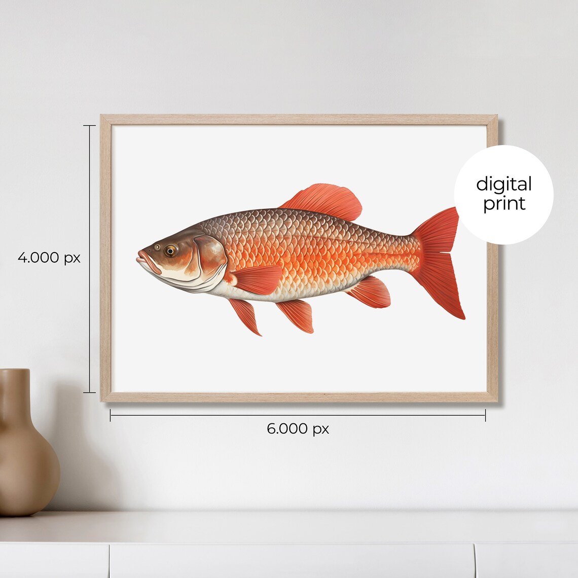 Vintage Carp Fish Lithograph, Fishing Wall Art Print - Image 2