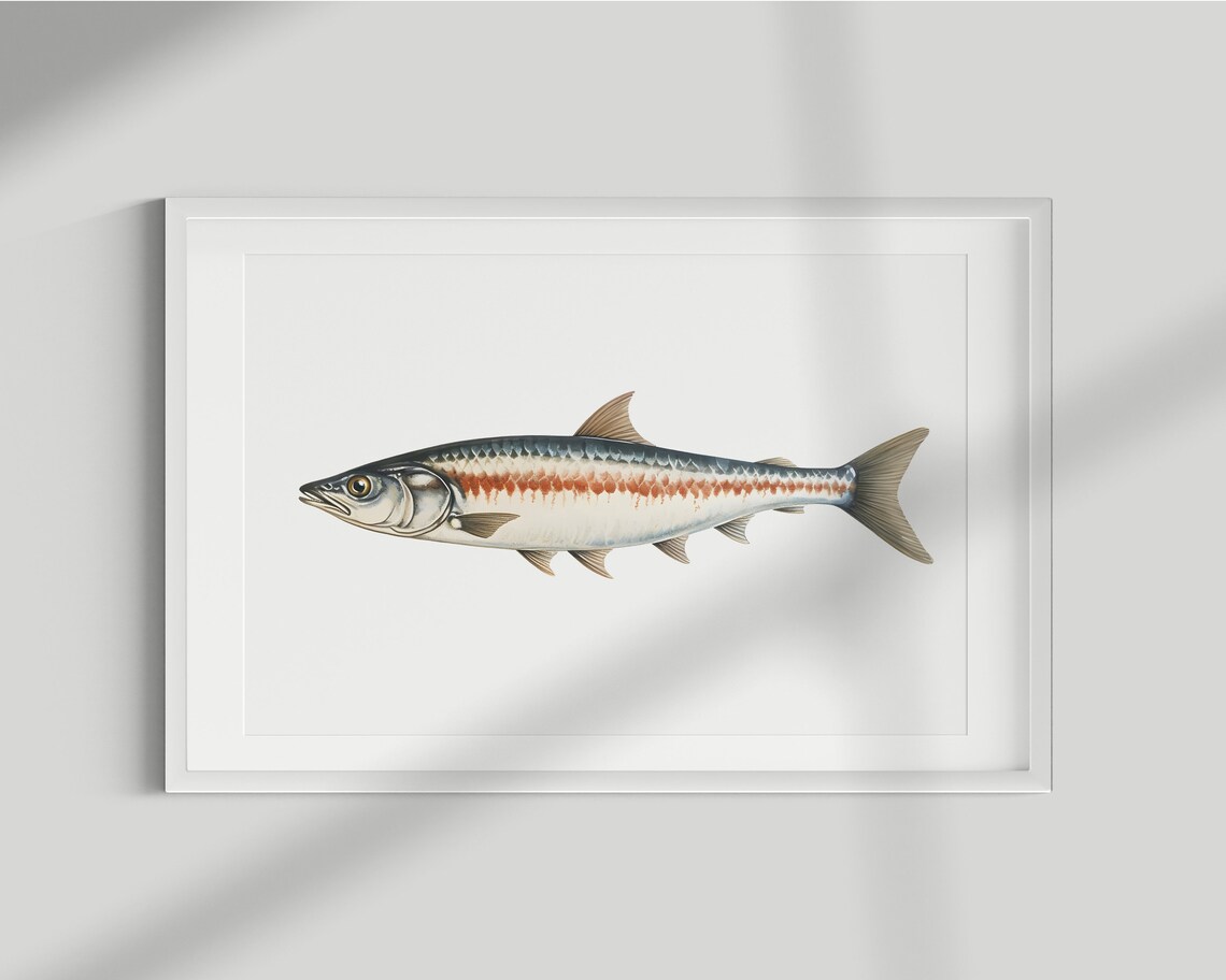 Mackerel Vintage Illustration Art Print, Fishing Decor
