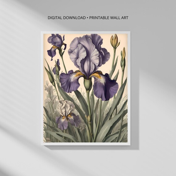 Modern Botanical Wall Art Print Lavender Iris Minimalist Decor