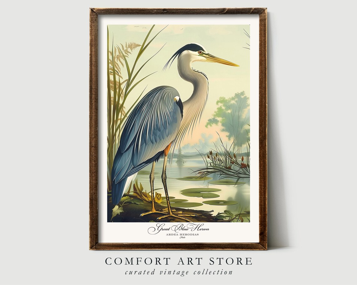 Great Blue Heron Audubon-Style Bird Print, Vintage - Image 5