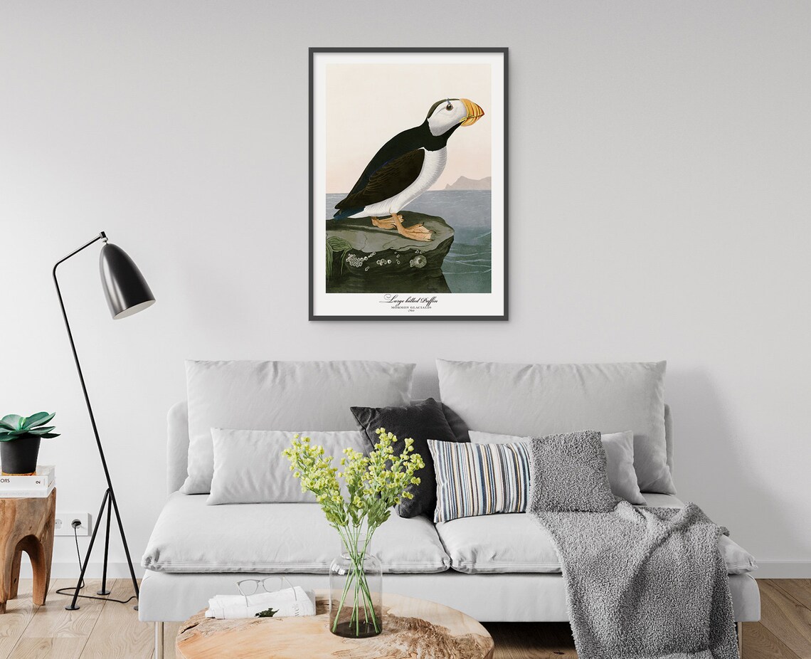 Large Billed Puffin Audubon Style Vintage Seabird Coastal Wall Art - Image 4