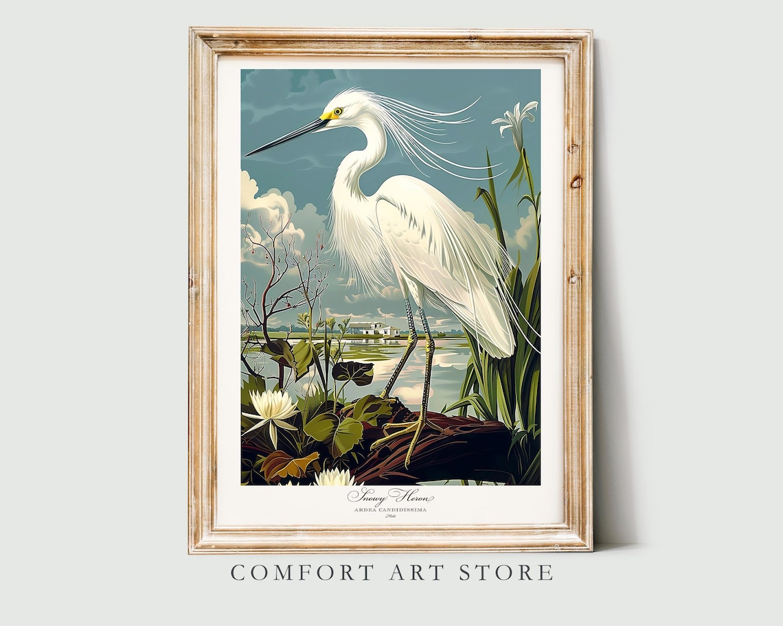 Audubon Style Snowy Heron Vintage Bird Art Print