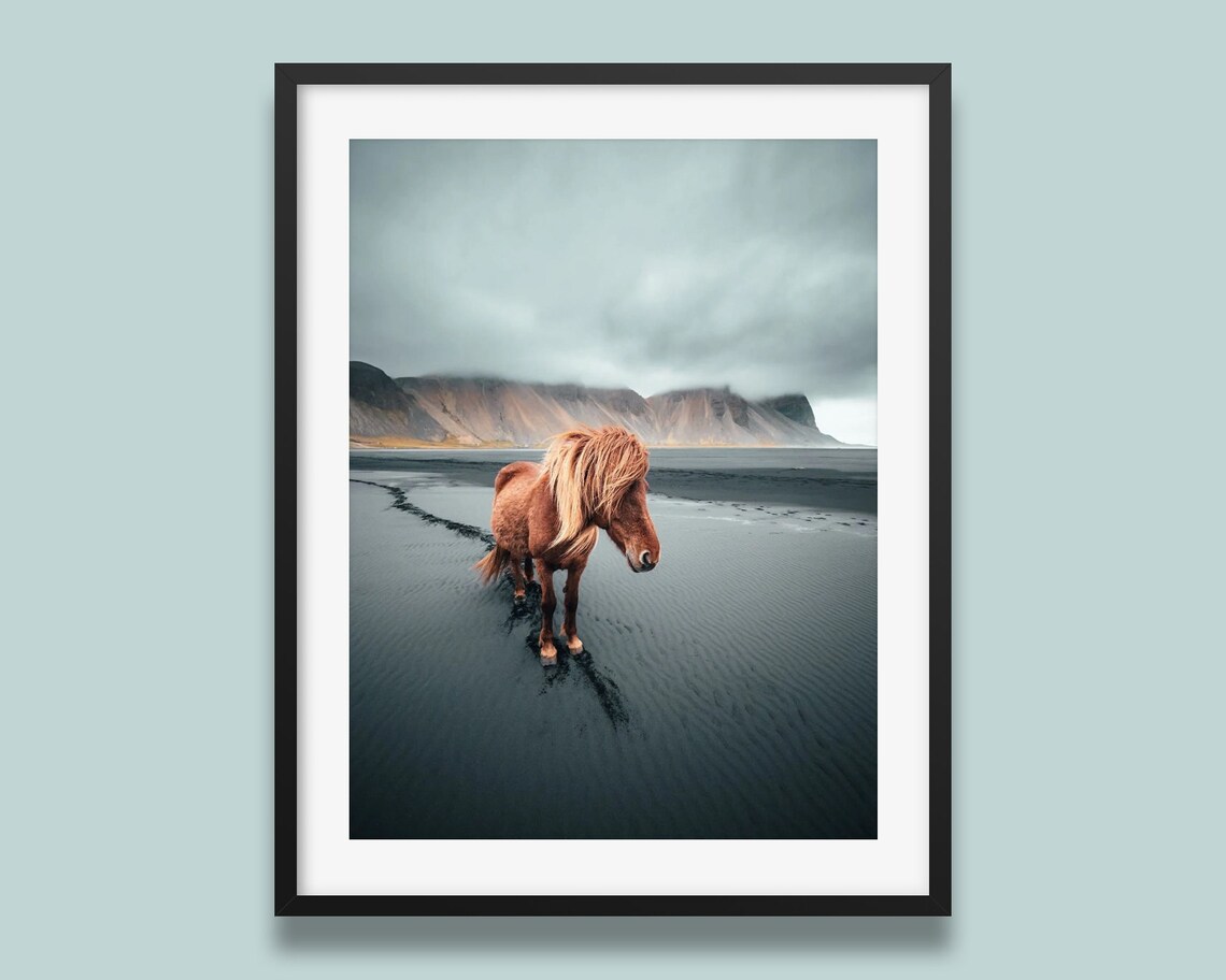 Icelandic Horse Black Sand Beach Moody Mountain Landscape Poster