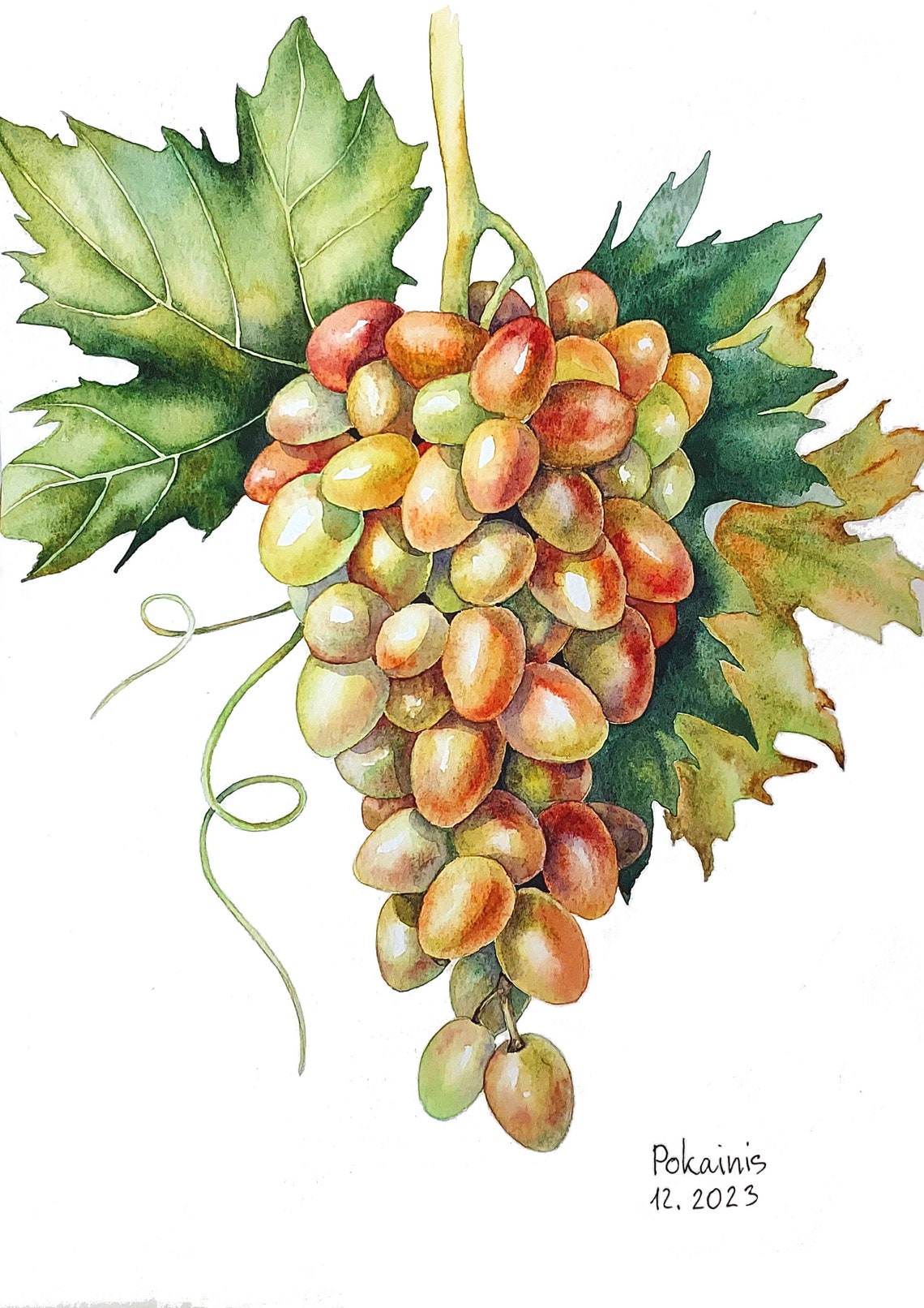 Golden Red Grape Cluster Vine Leaves Luminous Watercolor Poster
