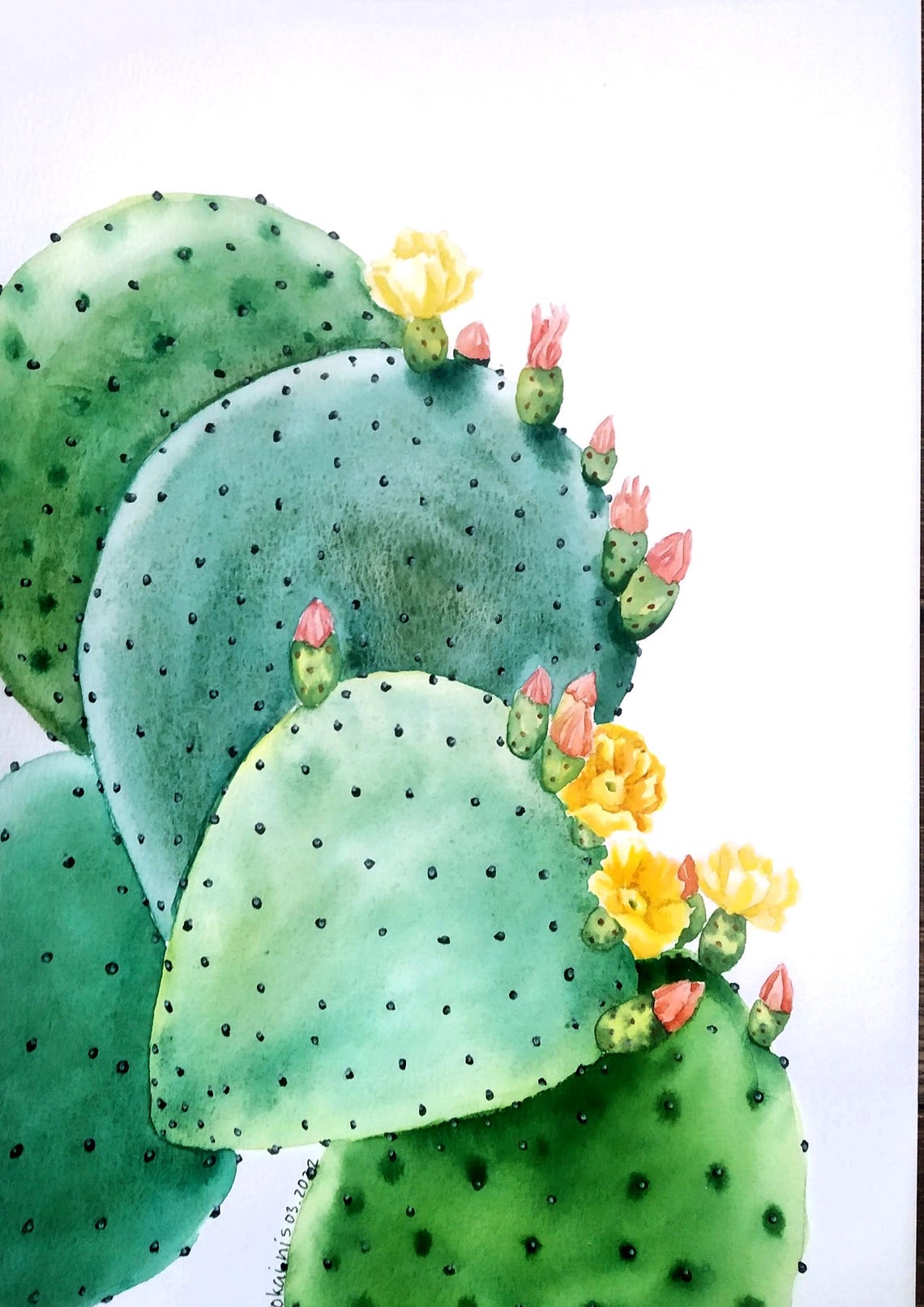 Prickly Pear Cactus with Yellow Blooms Watercolor Botanical Poster