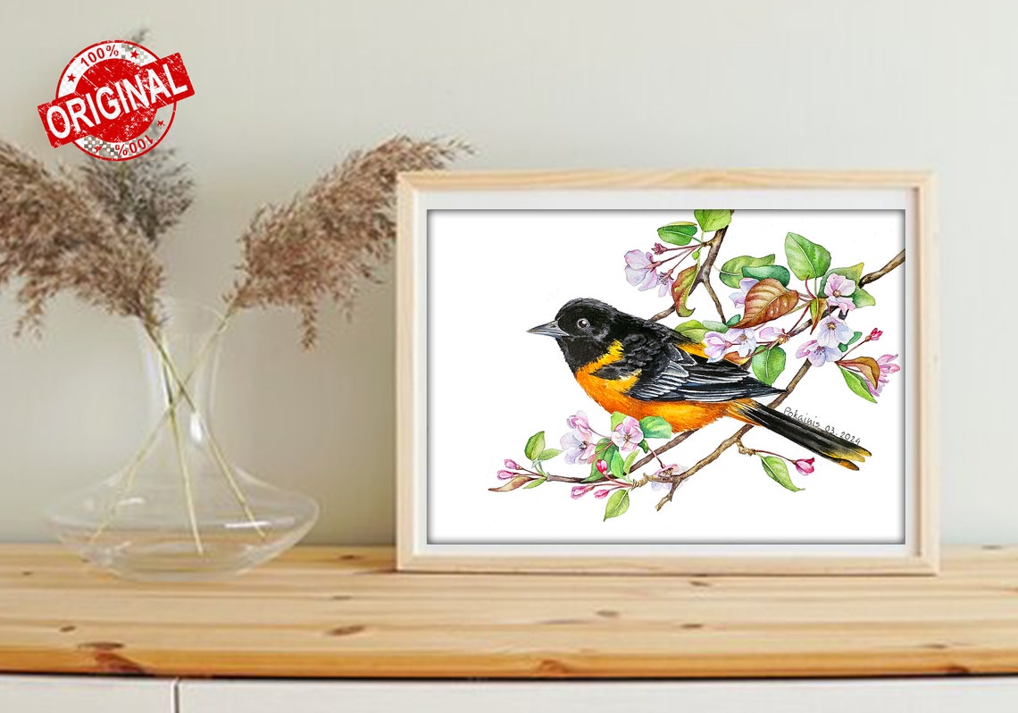 Baltimore Oriole Watercolor Bird on Pink Blossom Branch Poster - Image 4