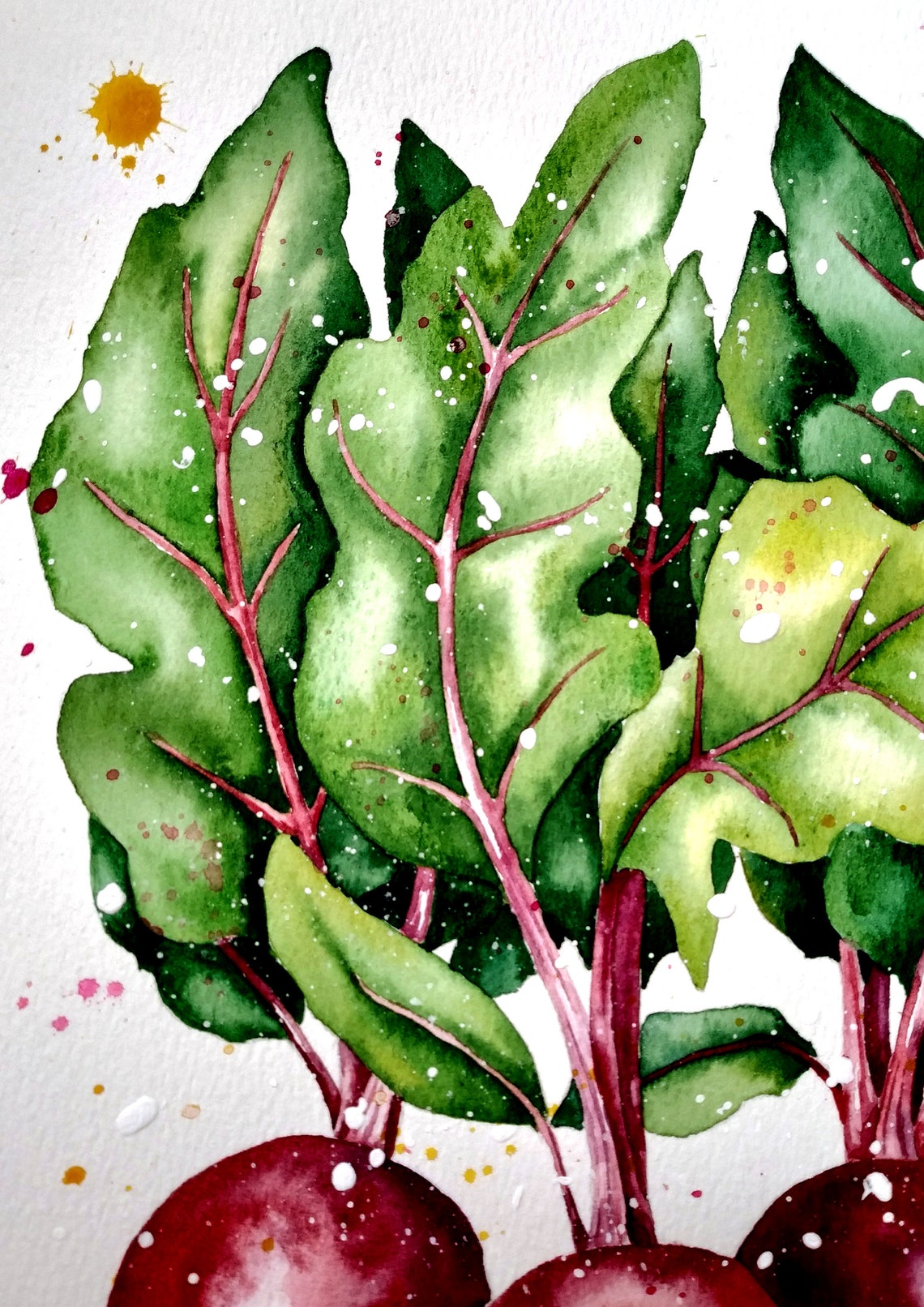Red Beets Watercolor Vegetable Garden Still Life Kitchen Poster - Image 3