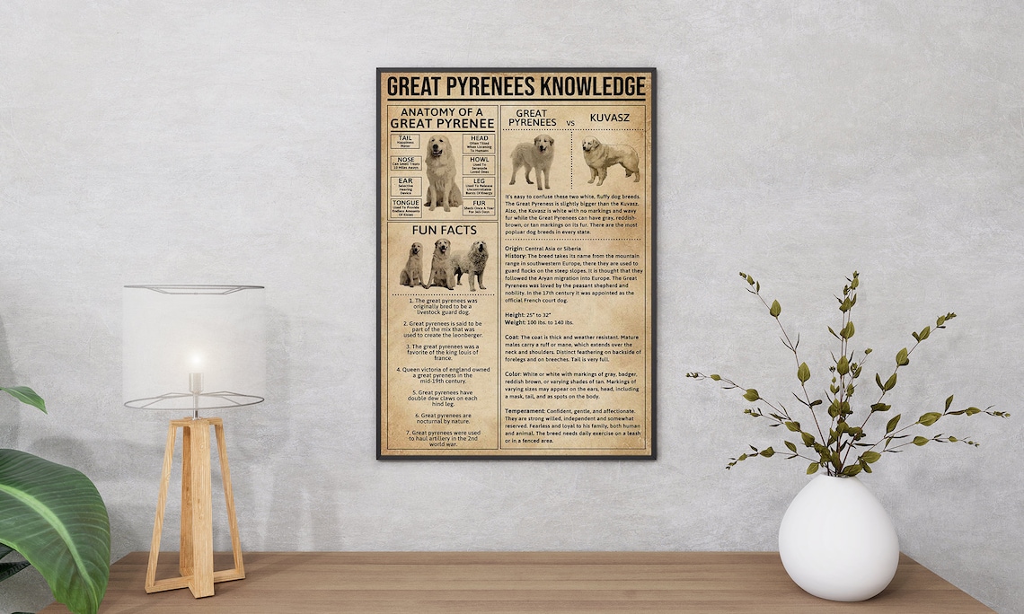 Great Pyrenees Anatomy Vintage Dog Art Print - Image 2