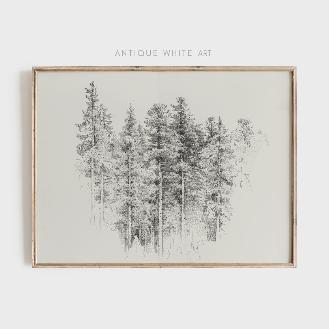Vintage Forest Sketch, Black And White Art Print