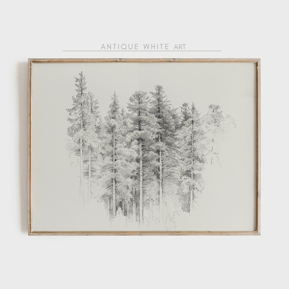 Vintage Forest Sketch, Black And White Art Print