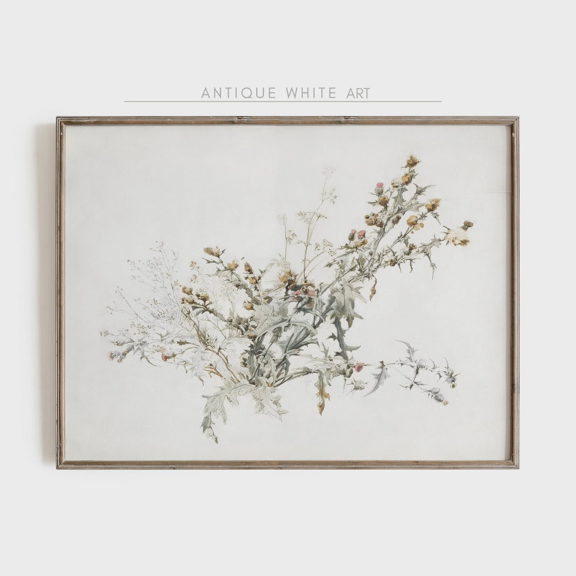Antique Botanical Wildflower Sketch Neutral Thistle Drawing Wall Art