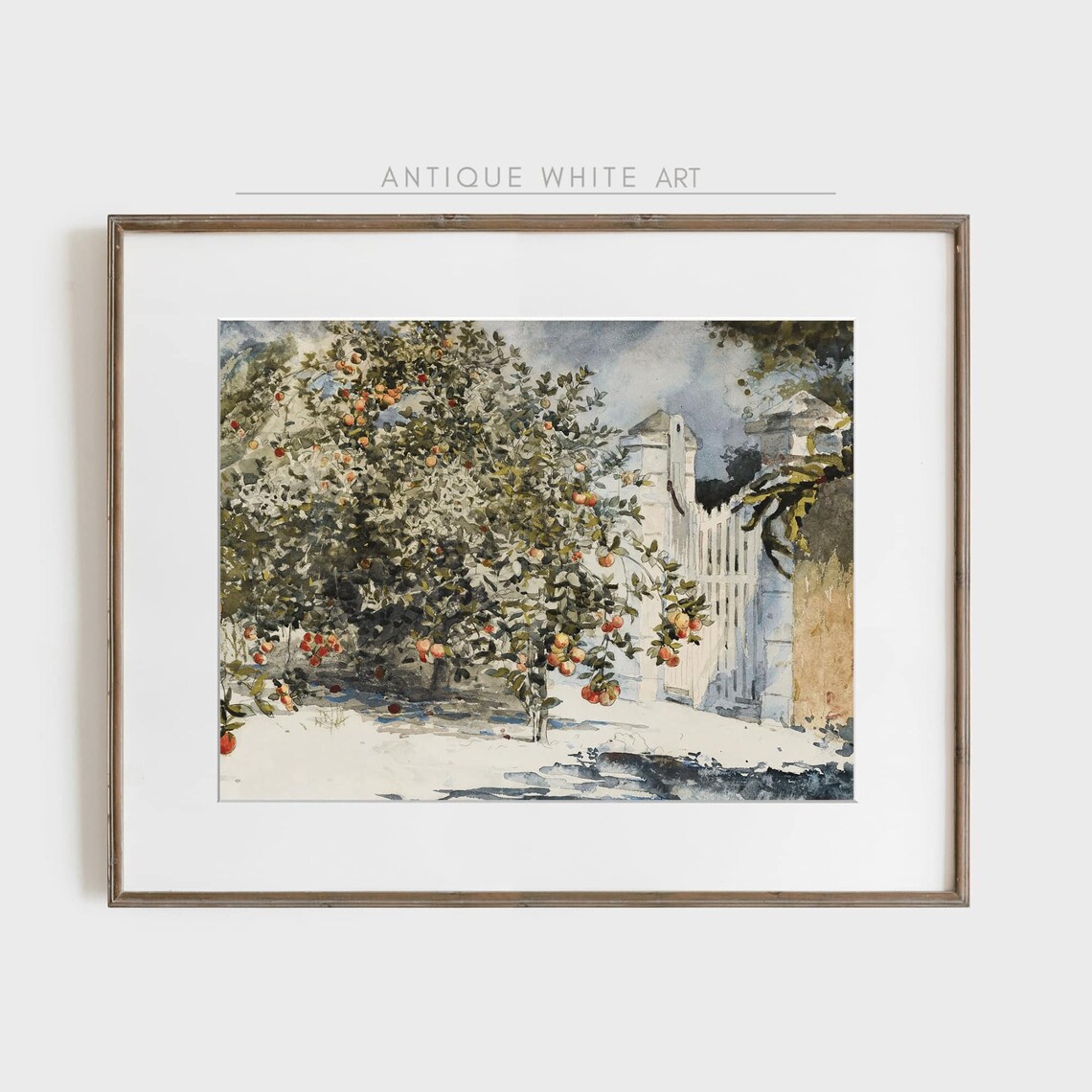 Orange Tree Watercolor Ripe Citrus by White Garden Gate Wall Art - Image 4