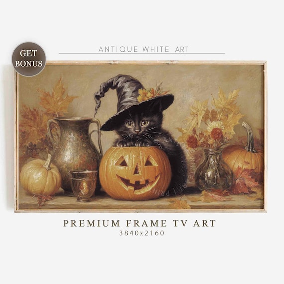 Black Kitten In Witch Hat On Jack O Lantern Autumn Halloween Still Life Poster