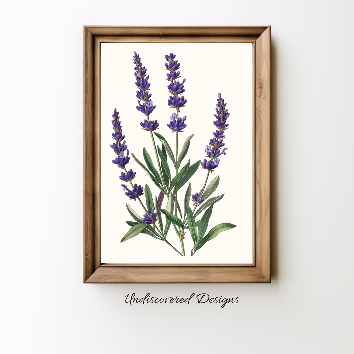 Antique Lavender Botanical Print Elegant Floral Wall Art
