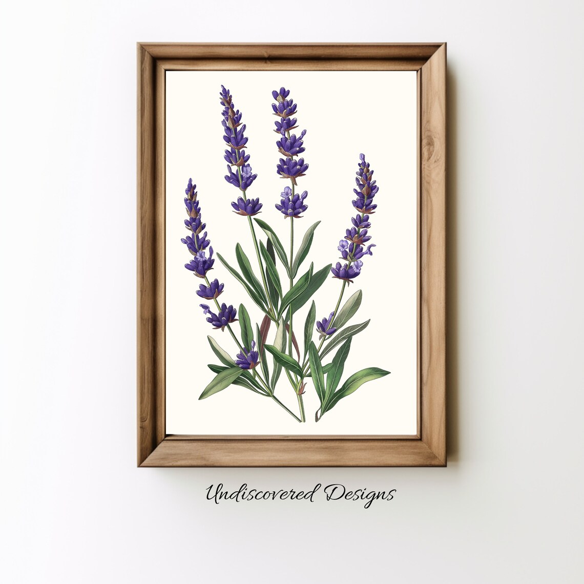 Vintage Lavender Botanical Illustration Purple Herb Flower Wall Art