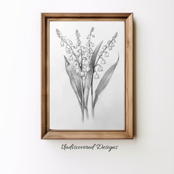 Lily Of The Valley Botanical Sketch Art Printout Wall Print Prints Vintage Pencil Drawing