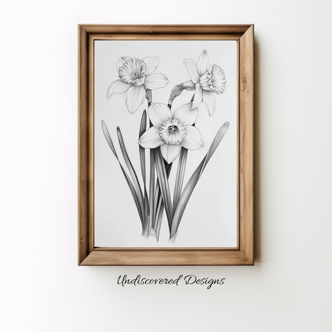 Daffodil Blooms Fine Pencil Sketch Minimalist Botanical Wall Poster