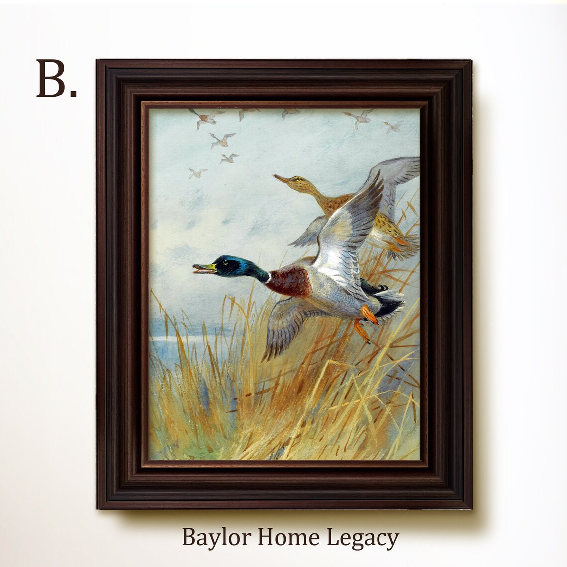 Mallard Ducks in Flight, Vintage Rustic Art Print - Image 5