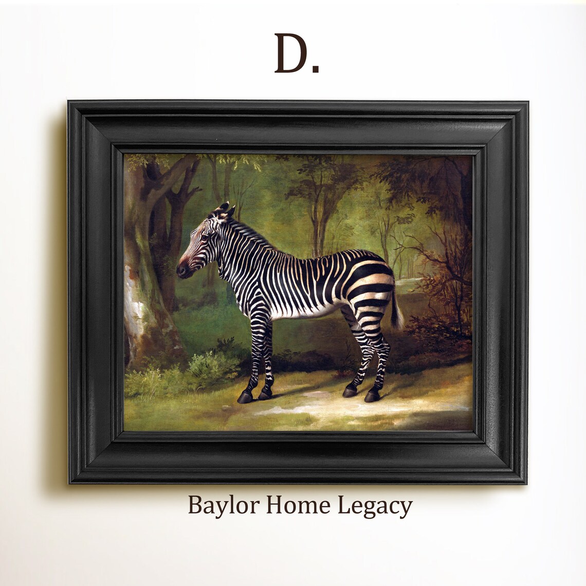 Zebra Oil Painting Print, Wooded Wildlife Landscape - Image 2