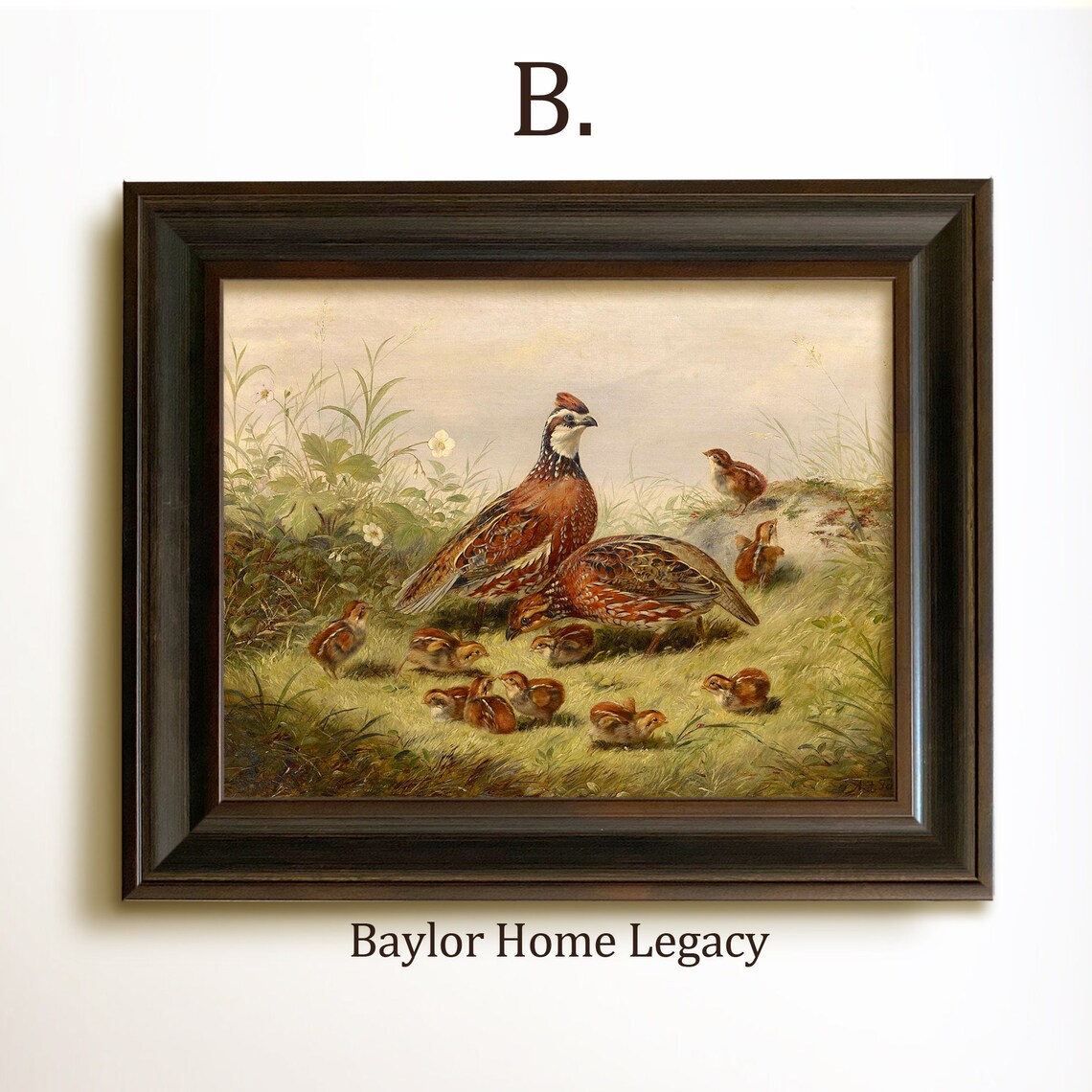Bobwhite Quail and Chicks Oil Painting Art Print - Image 4