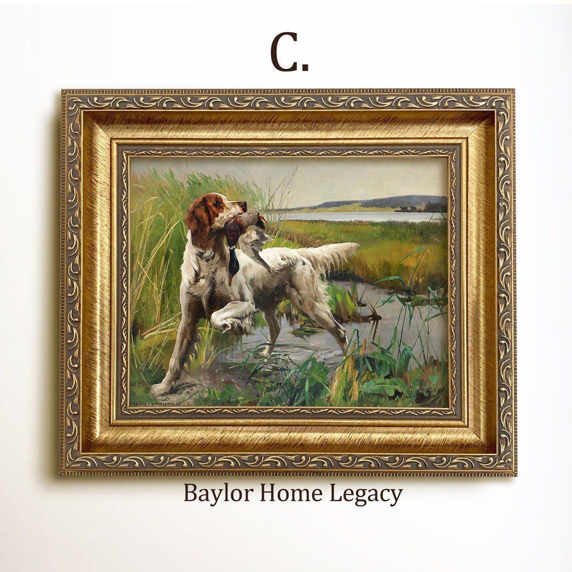 English Setter Retrieving A Mallard Duck, Vintage Oil Print - Image 3