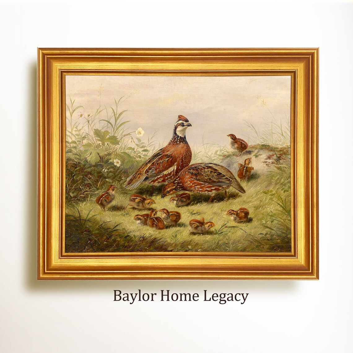 Bobwhite Quail and Chicks Oil Painting Art Print